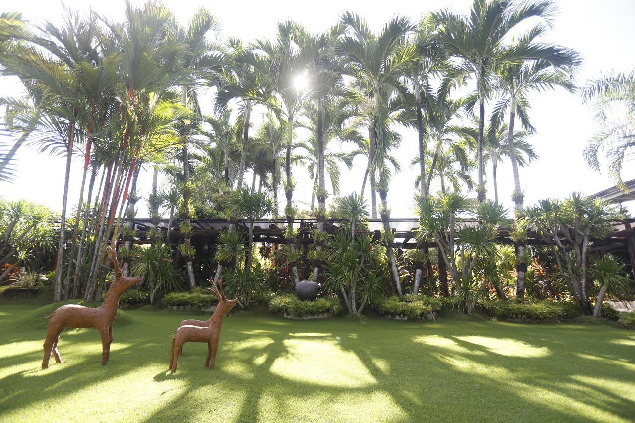 Victoria'S Haven Bed and Breakfast Dumaguete City Esterno foto